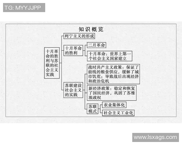 上海排球队的战术运营体系解析与实践探索