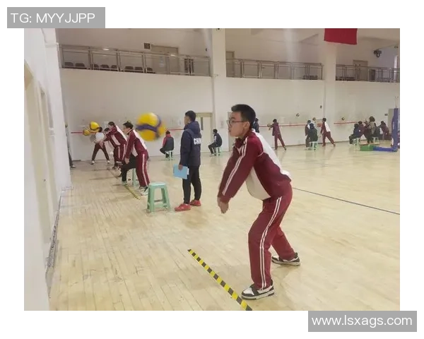 排球盛宴：深入分析西安排球队的战术与技术创新之路